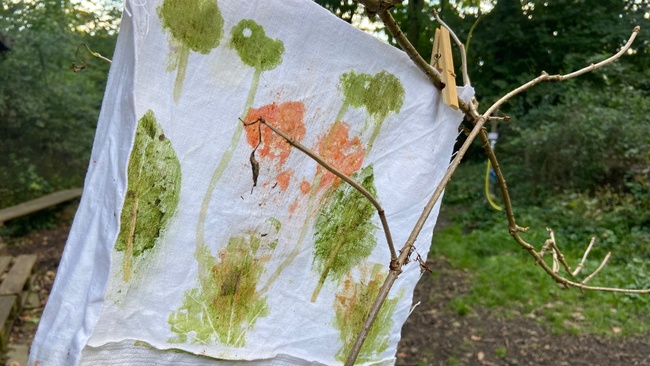 Waldzeit köln Naturerlebniszeit für Familien