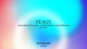 Barabend mit DJ-Set – Peaux