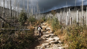 DAS GEWICHT DER WELT