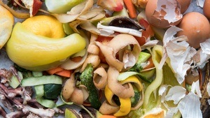 “Alles Kappes!” oder können Kölner*innen den Biomüll lieben lernen?