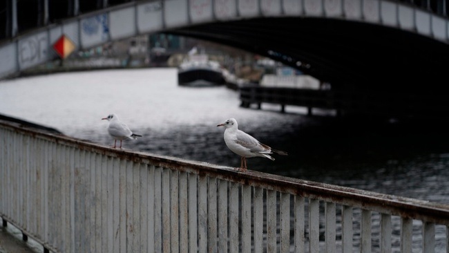 On Water – Führung in Deutscher Gebärdensprache (DGS)