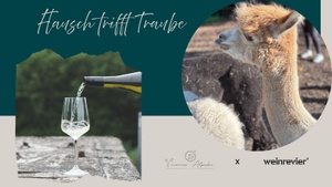 Flausch trifft Traube - Weinverkostung mit Alpaka-Begegnung