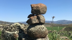 PLANT STORIES #3: Grapes, Land, and Resistance: Letter-Based Dialogue