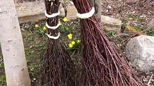 Workshop "Besenbinden"