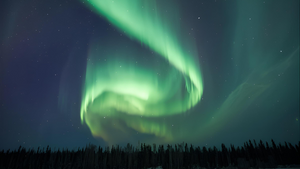 Best of 2025 -  Dein Jahresrückblick