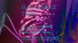 Gal Liraz Trio