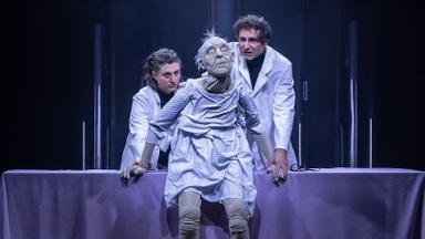 Oper von Elena Langer, The Lion's Face