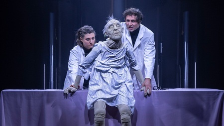 Oper von Elena Langer, The Lion's Face