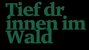 Tief drinnen im Wald