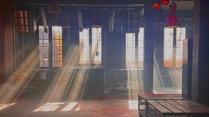 wakeupsociety x lieberscholli wakeup dance