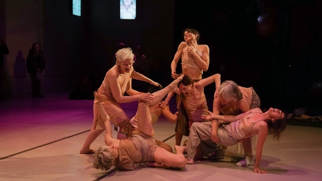 Dance Your Skin Collective