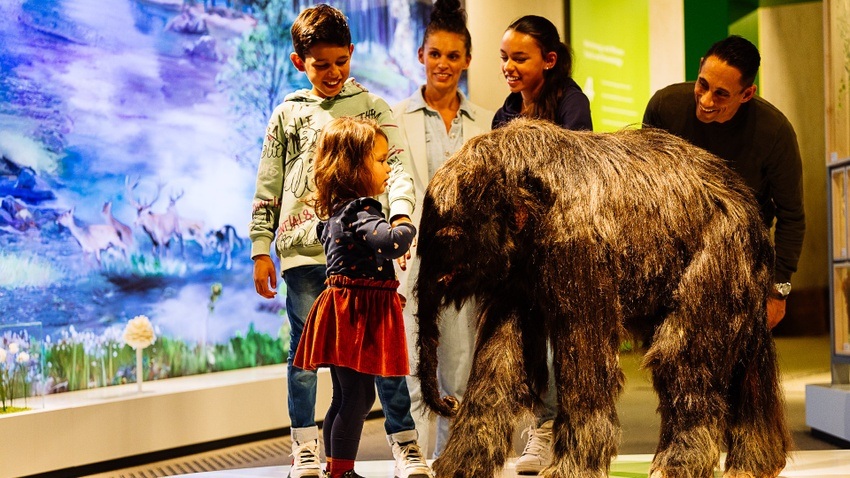 Freier Eintritt am Int. Museumstag