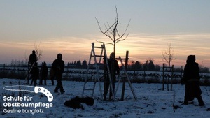 Einführungskurs Obstbaumschnitt in Rudersberg