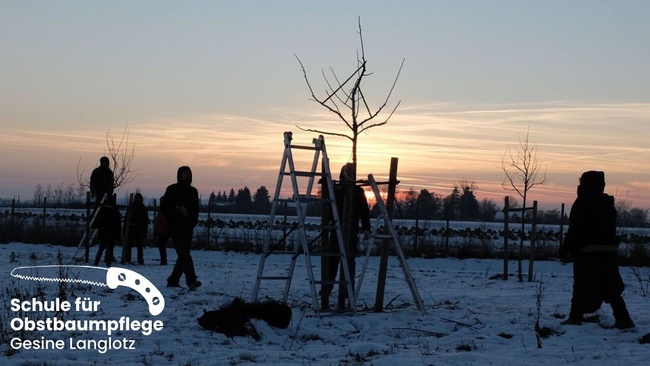 Einführungskurs Obstbaumschnitt in Rudersberg