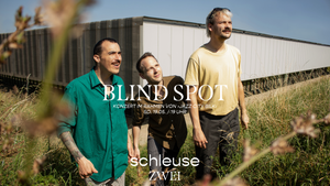 Blind Spot - Live