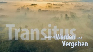 Transitus