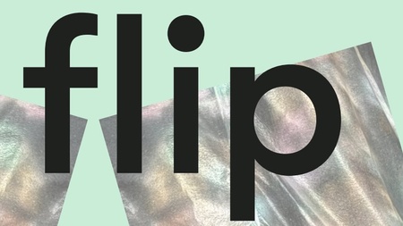 flip -  Lesung mit Dr. Julia Kahleyß