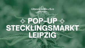 POP–UP STECKLINGSMARKT LEIPZIG 2025