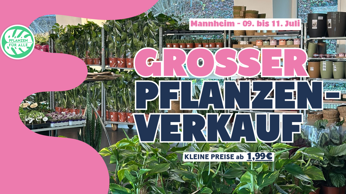 Großer Pflanzenverkauf - Mannheim