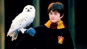 Harry Potter und der Stein der Weisen