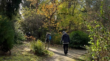 Sunday Morning Forest Walk 🌳 | An Inner-Circle Gathering