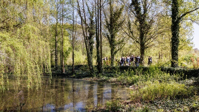 Waldwunder im Plänterwald