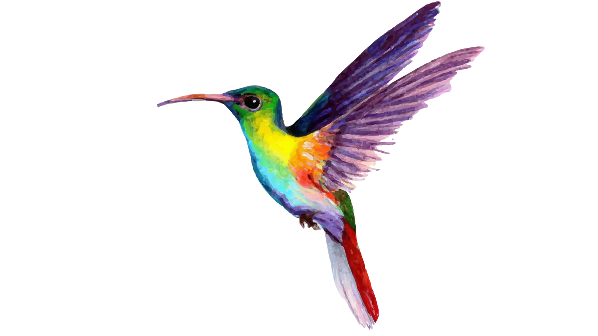 Kolibri Collective Leipzig