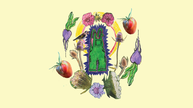 Spaziergang: Naturfarben,  welche Wildkräuter und Gartenpflanzen eignen sich zum Färben.