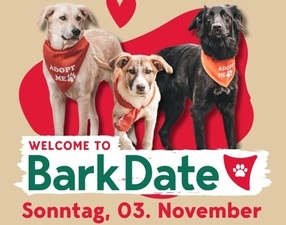 Finde deinen neuen besten Freund beim Bark Date in Bonn