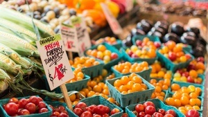 Frischwarenmarkt