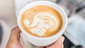 Kostenloser Rundgang: Dem fairen Kaffee auf der Spur