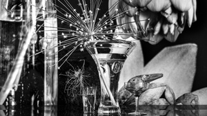 Vera Mercer | Still. Leben