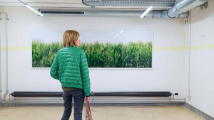 Öffentliche Führung durch Ausstellung und Bunker