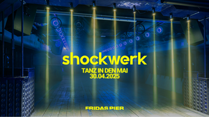 SHOCKWERK