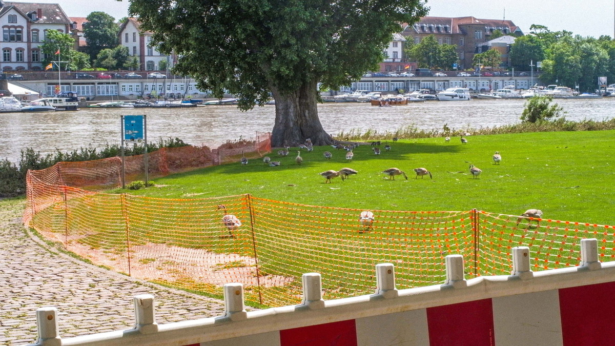 Filmscreening & Artisttalk: SEPARATIONS – Who Belongs to the Neckar?