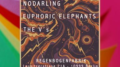 "Nodarling // Euphoric Elephants // The V´s" - Konzert im RegenbogenKino