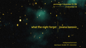 Jovana Banovic: WHAT THE NIGHT FORGOT