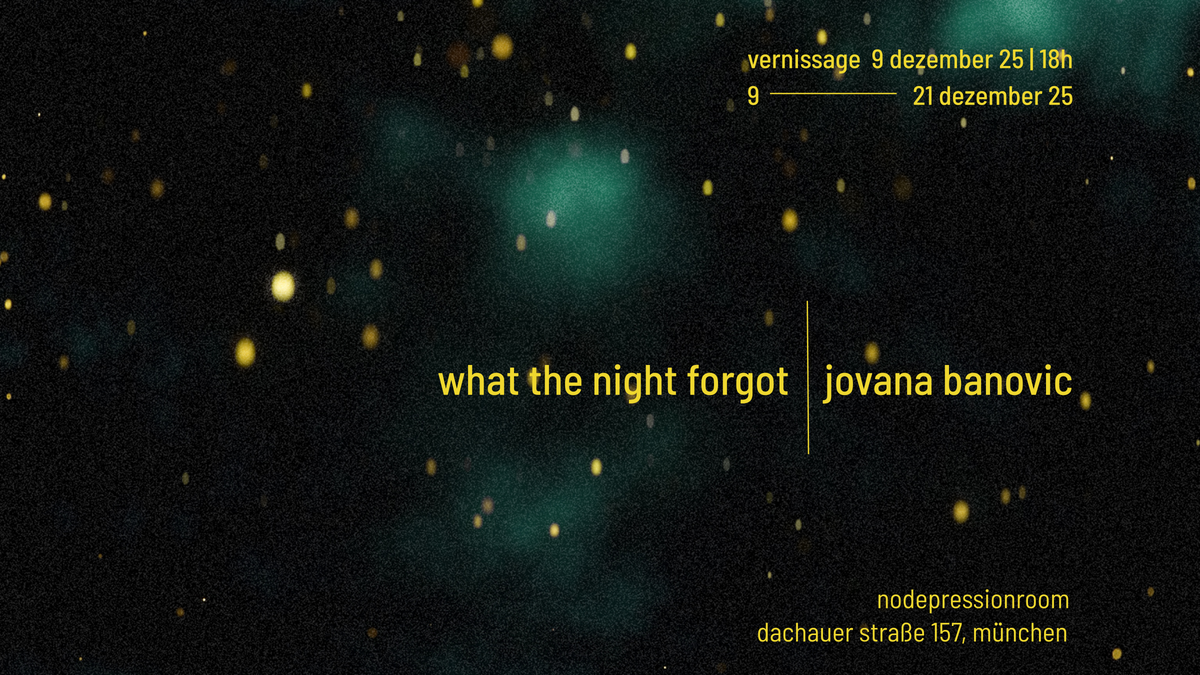 Jovana Banovic: WHAT THE NIGHT FORGOT