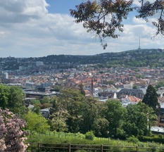 What's happening in June 2026? - Events in Stuttgart