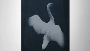 Schleier – Performance von Maria Colusi im Rahmen der Ausstellung "Phantome" von Dominik Lejman