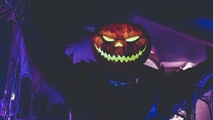 PANSY'S HALLOWEEN - with Drag Show & Costume Contest