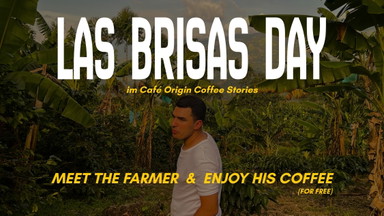 Las Brisas Day
