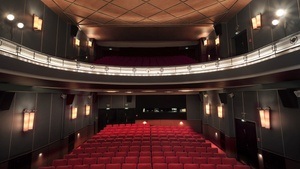 Film 4: „Black faces in white (?) spaces“