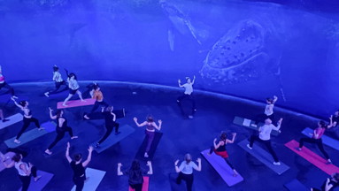 Panorama Yoga Experience