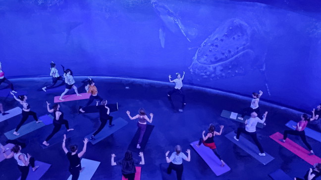 Panorama Yoga Experience