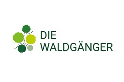 Waldführungen durch den Stadtwald