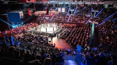 WE LOVE MMA