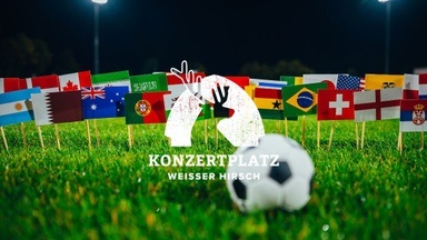 FUSSBALL WM PUBLIC VIEWING