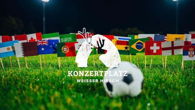 FUSSBALL WM PUBLIC VIEWING