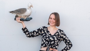 Irgendwas mit Möwen in der Forstbaumschule – Bestof-Sommer-Lesung